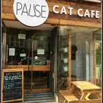 Pause Cat Cafe – Bournemouth, Dorset, UK – LifeBeyondBorders