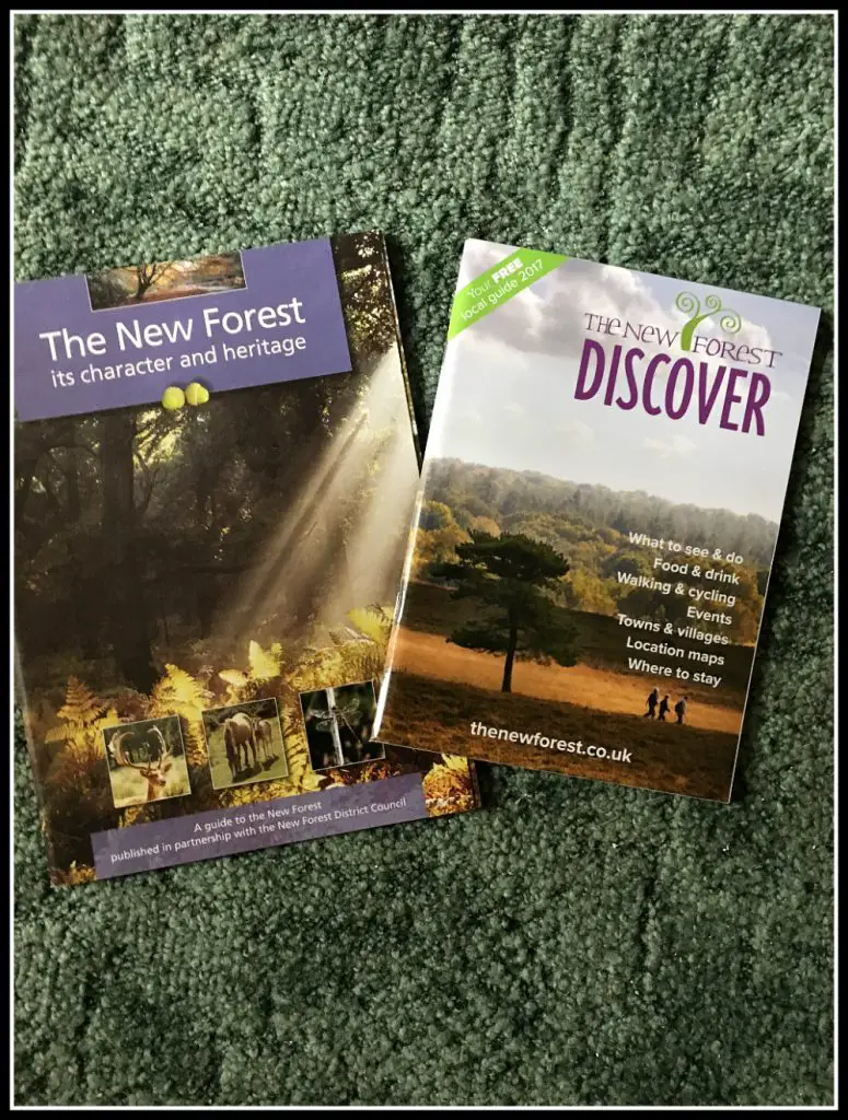 The New Forest Activities - beauty in southern England - LifeBeyondBorders