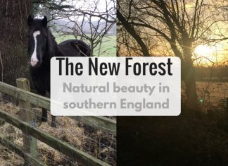The New Forest - Natural Beauty in southern England - LifeBeyondBorders