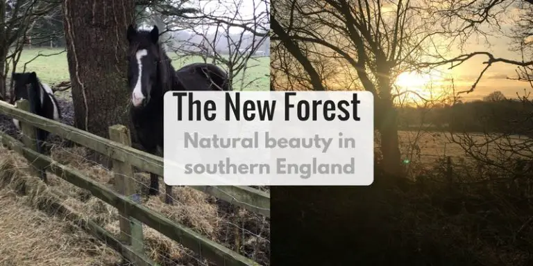 Things to do in the New Forest