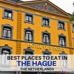 Best Places to Eat in The Hague Header