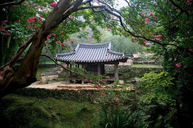 Photo by KIMDAEJEUNG korea photo - Life Beyond Borders
