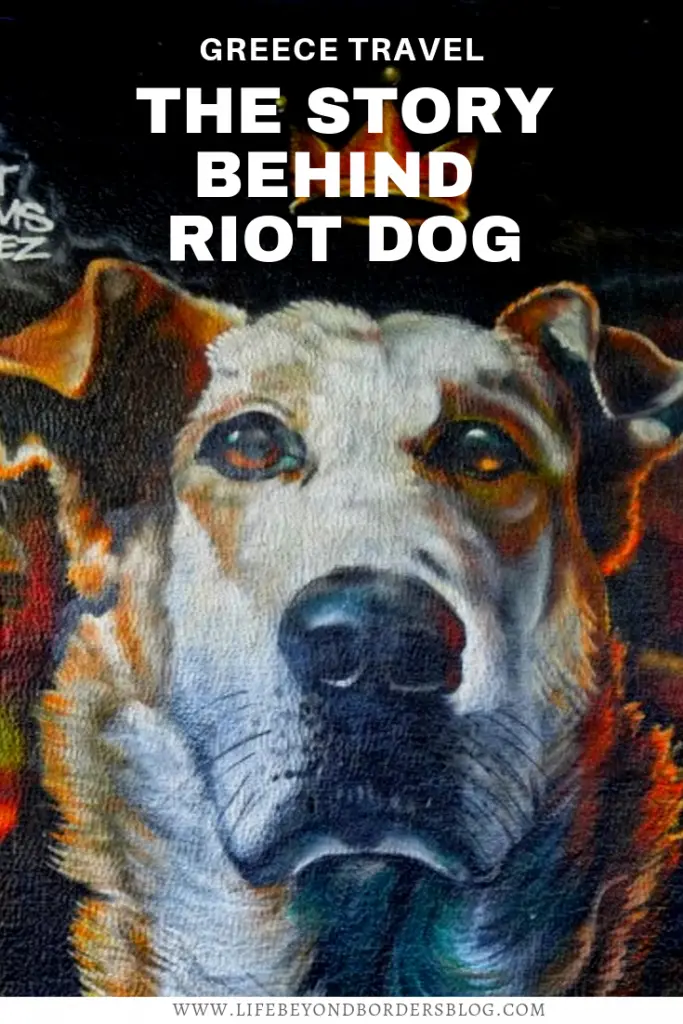 The True Story of Riot Dog of Athens - LifeBeyondBorders