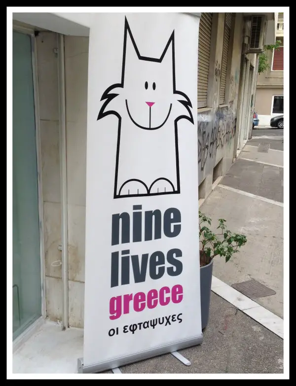 Nine Lives Greece Bazaar - Cats of Greece - LifeBeyondBorders