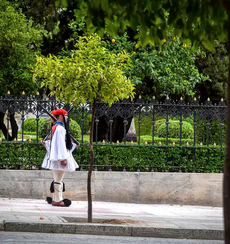 parliament gardens athens photo