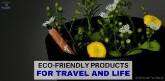Eco-Friendly products. Fun work ideas to help me be more sustainable in my travel writing. LifeBeyondBorders